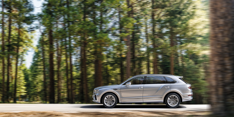 Bentley Bangkok Bentley Bentayga Extended Wheelbase SUV in Moonbeam paint driving dynamically on a forest road